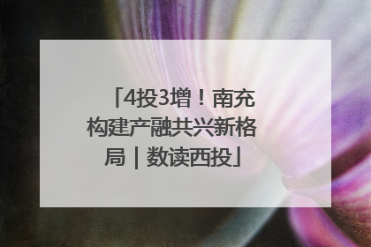 4投3增！南充构建产融共兴新格局｜数读西投