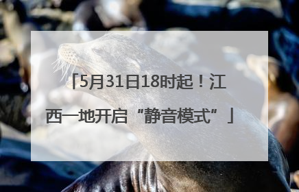 5月31日18时起！江西一地开启“静音模式”