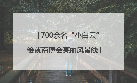 700余名“小白云”绘就南博会亮丽风景线