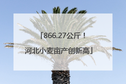 866.27公斤！河北小麦亩产创新高
