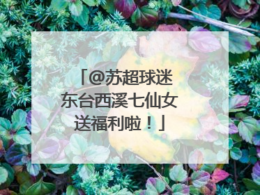 @苏超球迷 东台西溪七仙女送福利啦！