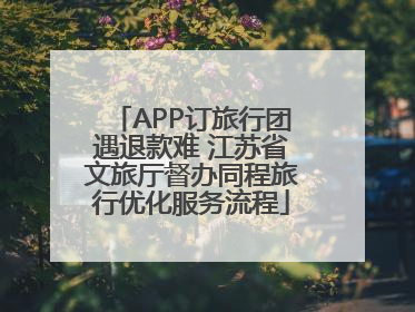 APP订旅行团遇退款难 江苏省文旅厅督办同程旅行优化服务流程