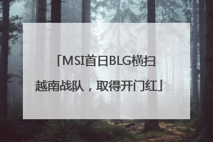 MSI首日BLG横扫越南战队，取得开门红